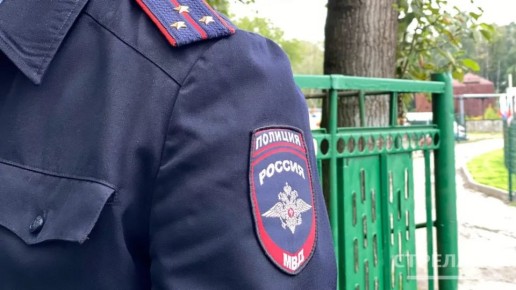 В Брянске сотрудниками правоохранительных органов была установлена личность преступника