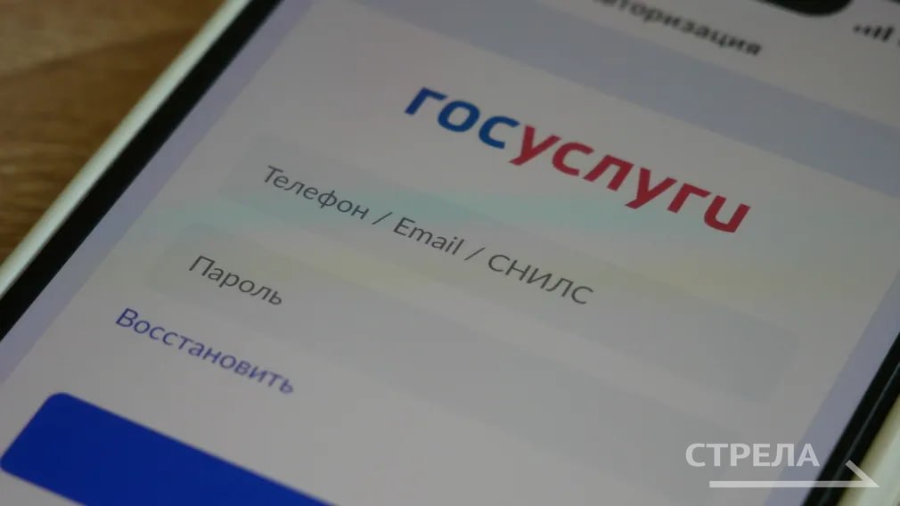 Жители Брянской области на едином портале «Госуслуг» могут заполнить черновики для записи своих детей в первый класс