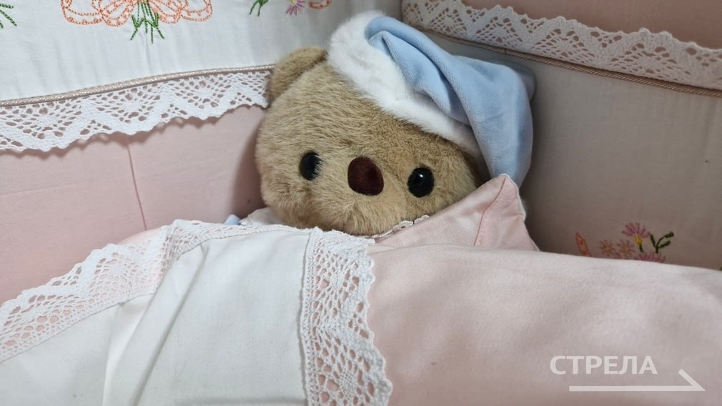 На территории Брянской области семьям с детьми предоставляется более 20 видов пособий и компенсаций