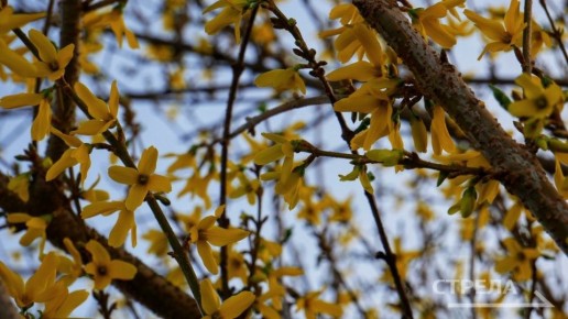 ������, 23 �����, �� ���������� �������� ������� �������������� ���������� ����������