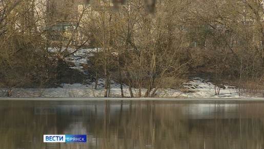 В 10 районах Брянщины временно ограничили рыбную ловлю