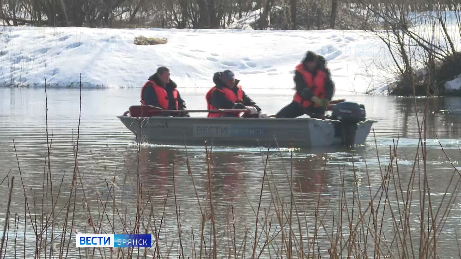 Спасатели возобновили поиски утонувшего в Десне мальчика