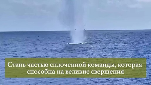 Министерство обороны Российской Федерации приглашает жителей Брянской области на контрактную службу в рядах Вооруженных Сил России