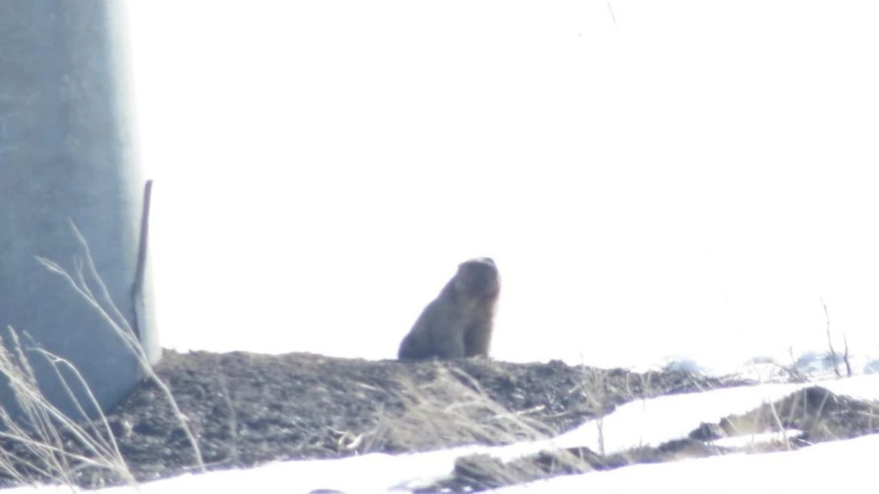 #* Подборка интересных новостей из регионов к этому часу #* Подборка интересных новостей из регионов к этому часу