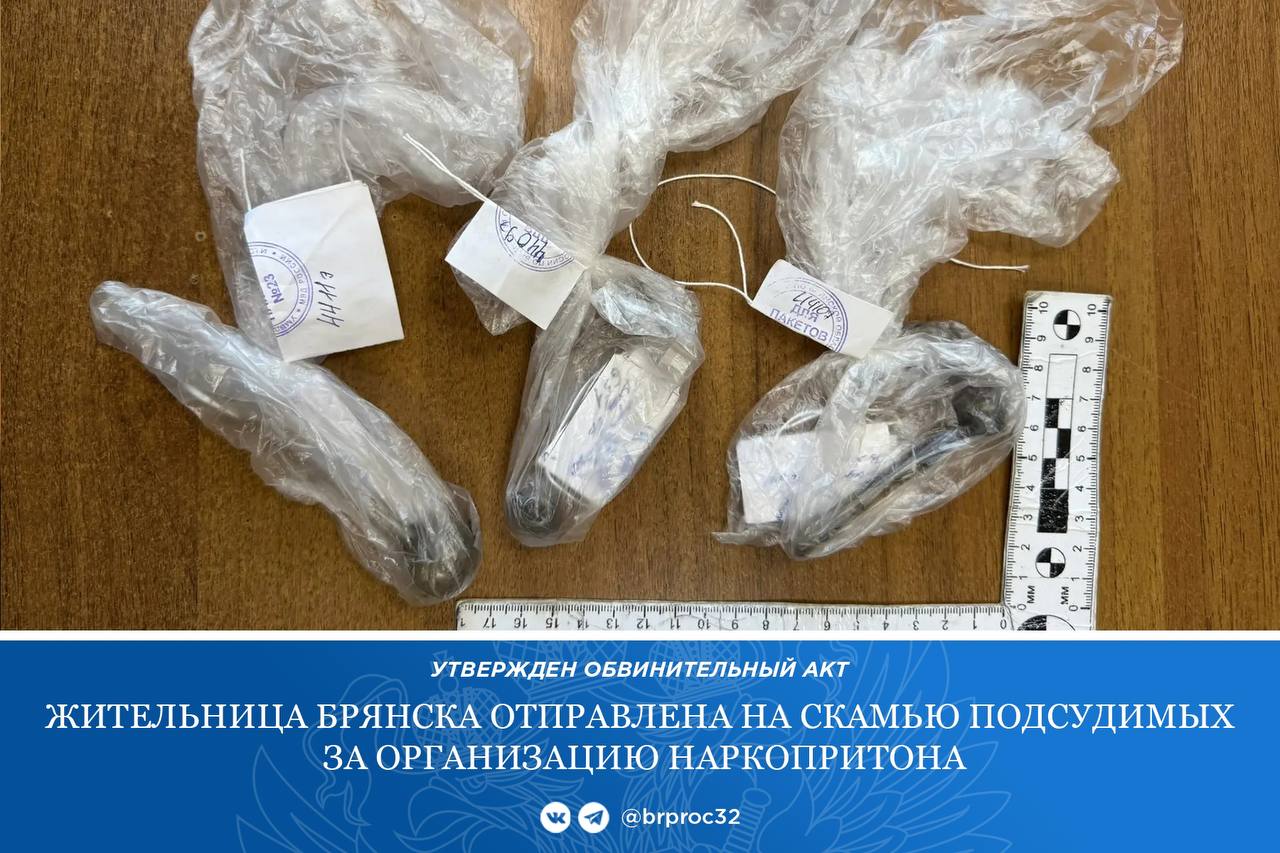 Прокуратура Володарского района г. Брянска утвердила обвинительный акт по уголовному делу в отношении 40-летней местной жительницы