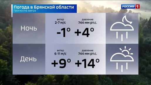 ������� ������ �� 28 �����