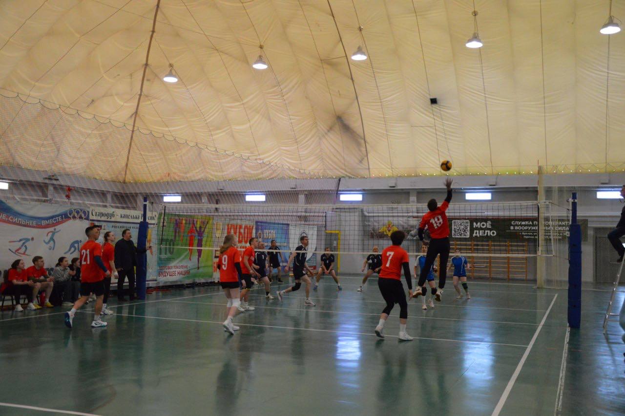 В Стародубском муниципальном округе прошел ежегодный областной турнир по волейболу среди педагогов В Стародубском муниципальном округе прошел ежегодный областной турнир по волейболу среди педагогов
