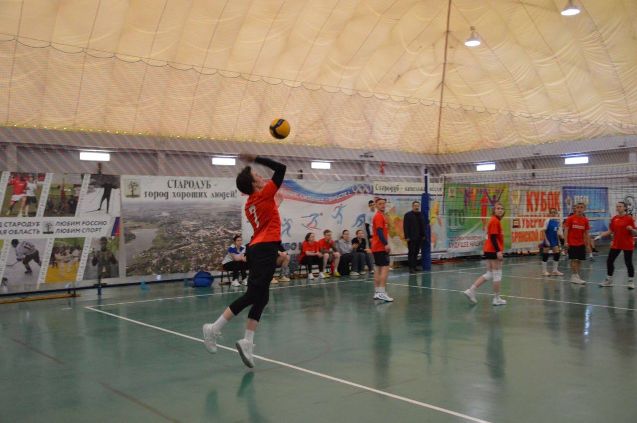В Стародубском муниципальном округе прошел ежегодный областной турнир по волейболу среди педагогов В Стародубском муниципальном округе прошел ежегодный областной турнир по волейболу среди педагогов