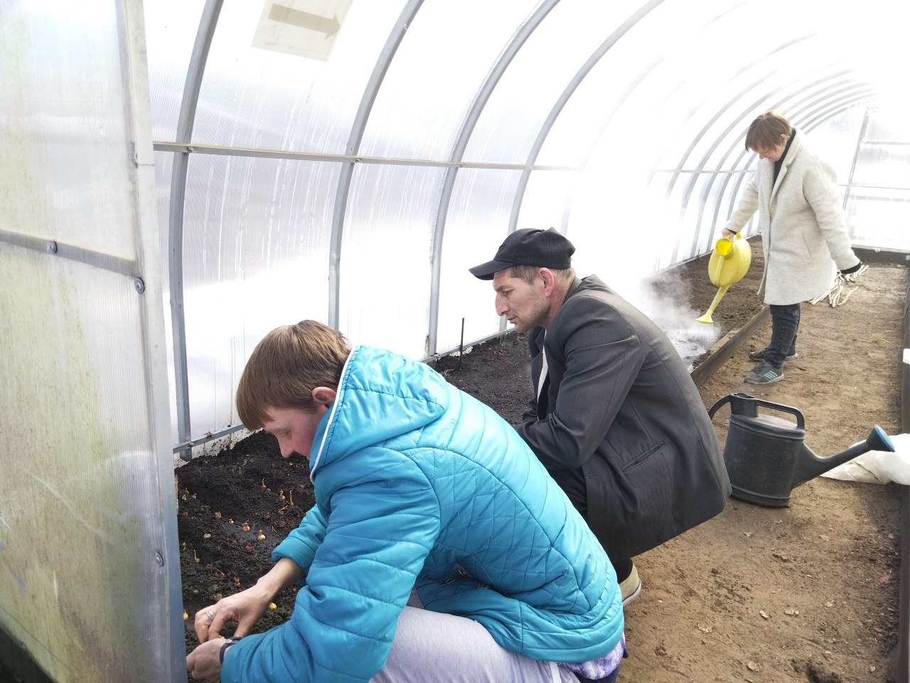 Посев зелени и редиса в теплице Посев зелени и редиса в теплице