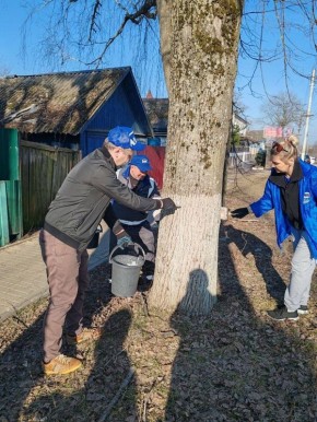 ��������� �����: �������� ���������� ����������� ������ ������� �������� ������� � ������������� ����������