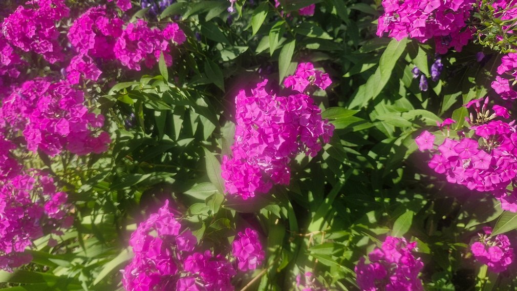 В Брянской области 28 марта ожидается облачная погода с прояснениями