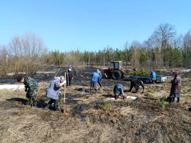 � �. ����� ������ ������ ������� � ������ ���������� �� ���������� ����������� ������ ��������� ���������� , �������� ������� �����