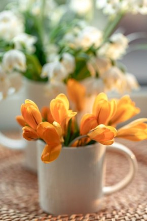 ������ ����, ������ � ����� ��������������� ���������� ������!