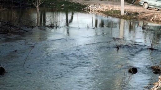 �� ����� � ������� �������� ������������ ������� � ����������� ������