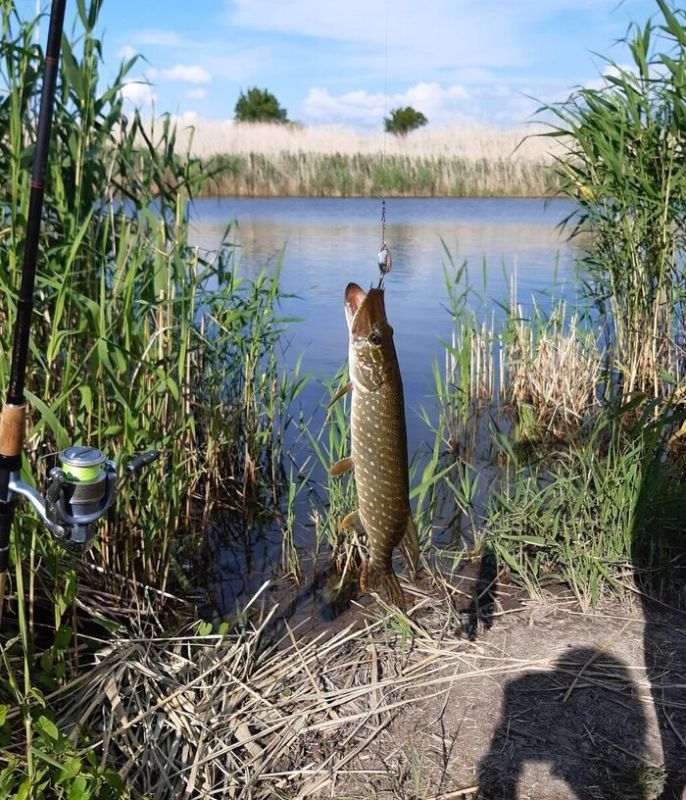 ��� �������� ��������� ���: ������� � �������� ������� �����