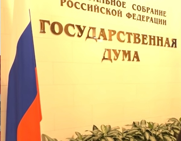 Госдума рассматривает законопроект о защите граждан России за границей