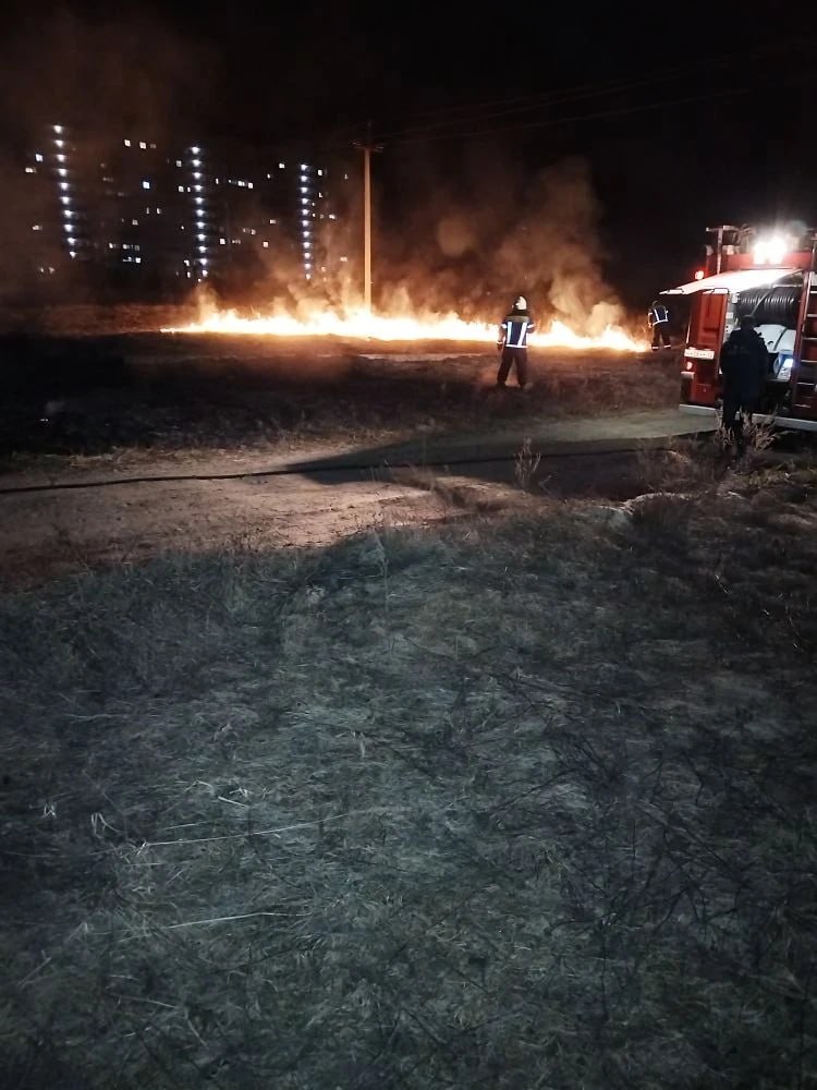 В Радице-Крыловке загорелась сухая трава В Радице-Крыловке загорелась сухая трава