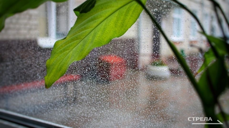 ������, 2 ������, �� ���������� �������� ������� ����� ������� � ������������