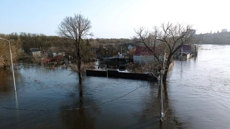 � �������� ������� �� ����� ��������� 11 ������������ ��������