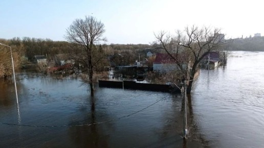 � �������� ������� �� ����� ��������� 11 ������������ ��������