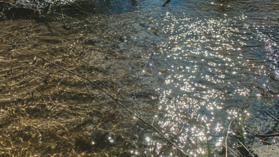 � �������� ������� �� ����� ���� ��� ���� 11 ������������ ��������