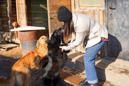 �������� ����������� ������� ������ ������ ��� �������� �����