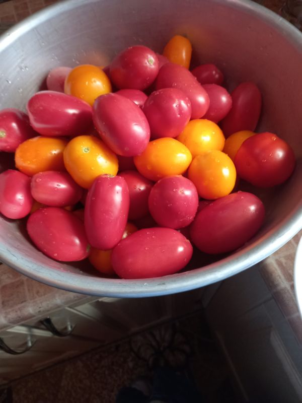 �������� ��������� �� ������: �������� ������ � ������ ����� ��� ������ �������