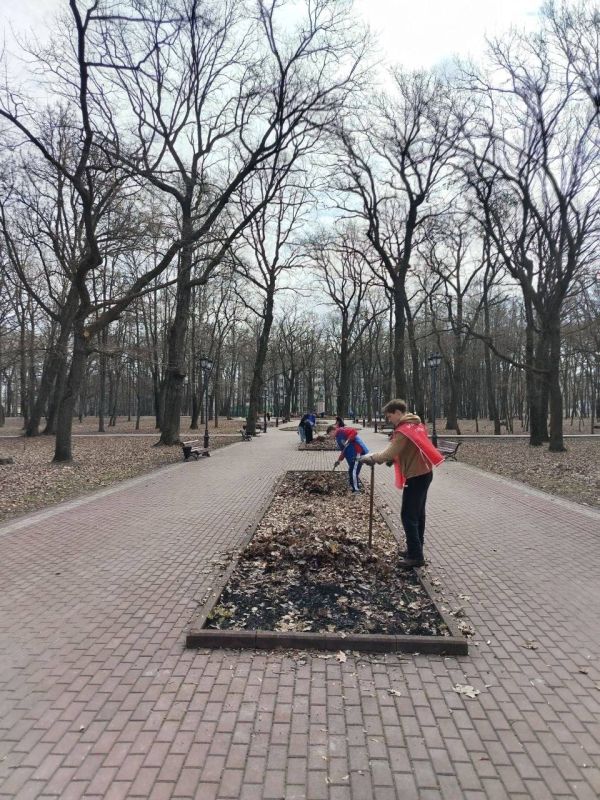 ����� ������� �������� � ������ ����