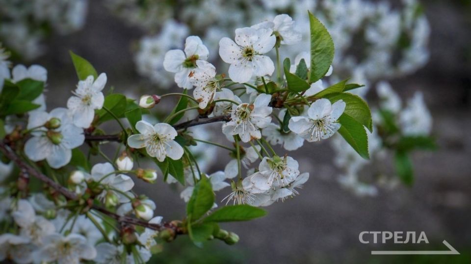 ������, 3 ������, �� ���������� �������� ������� ����� ������� � ������������