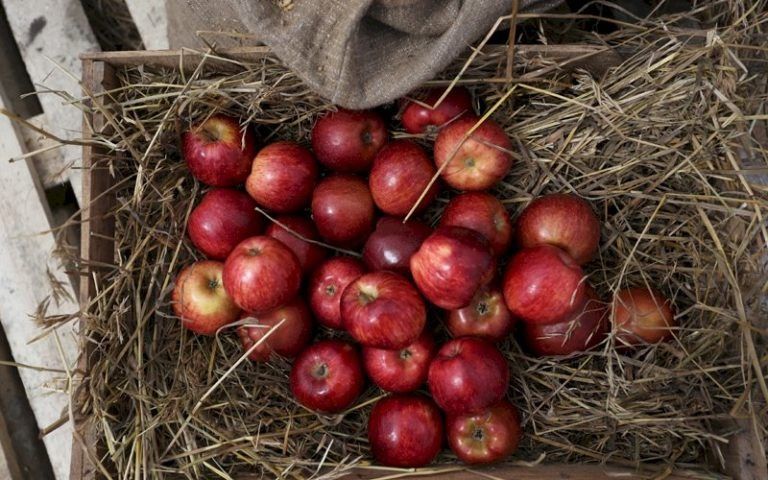 ������� ������� �������� �����