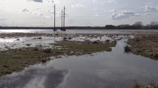 ������� ���� ����������� � 28 �����