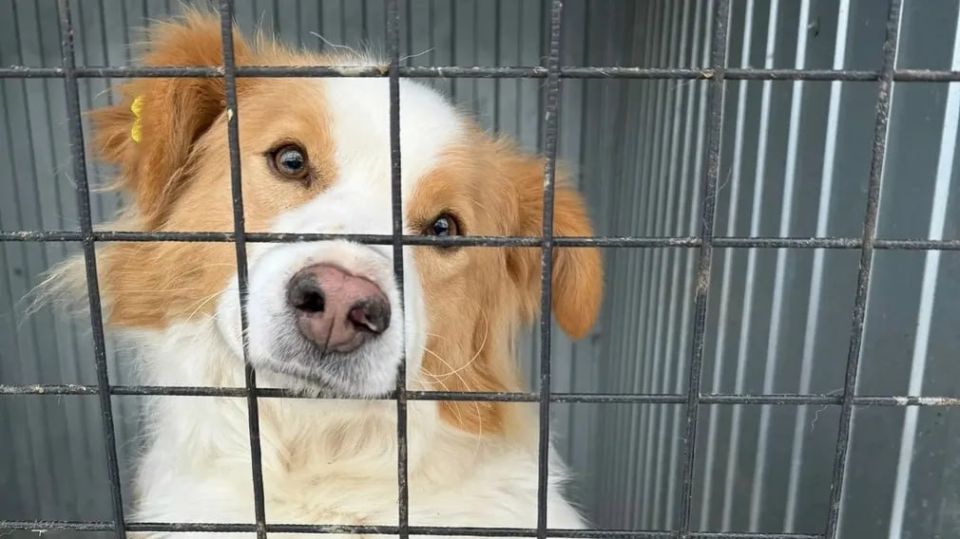 � ��������� ������ ��� �������� � ��������� ����� ��������� 380 �����