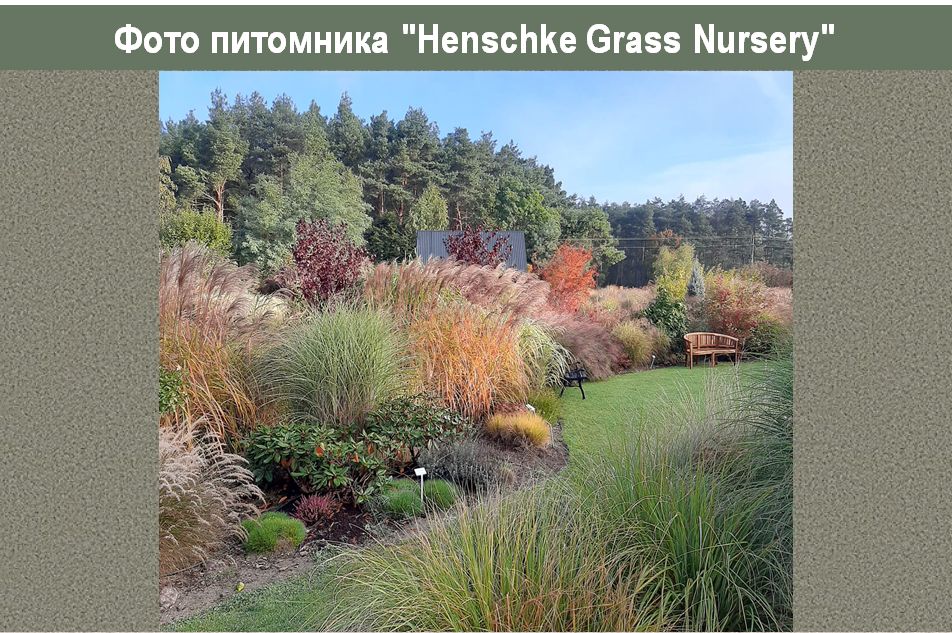 �������� ������ � ������: ���������� ��������� � ������������� ����