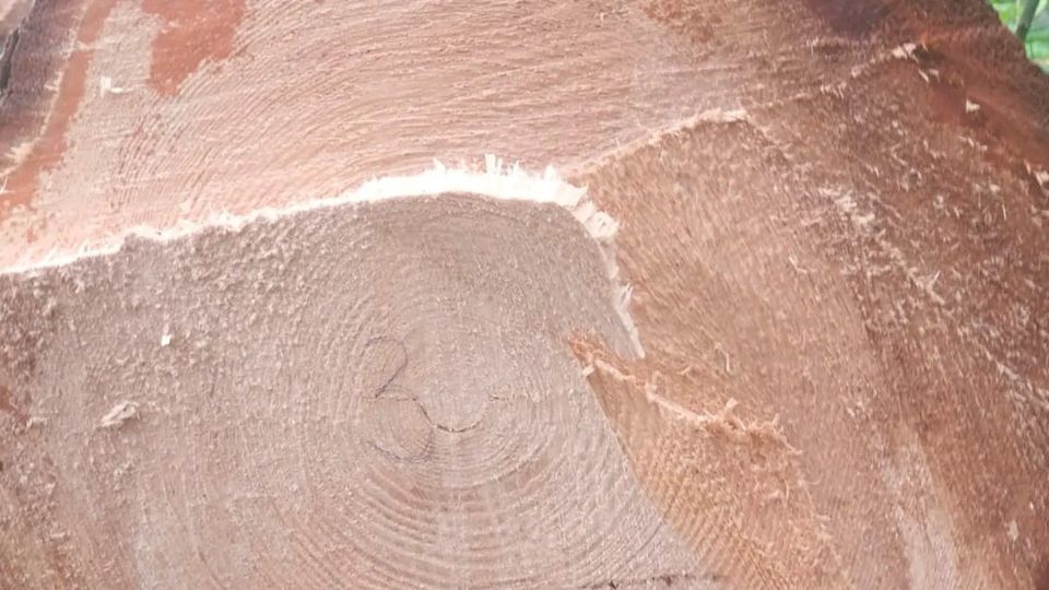 ������ ��������� ������ ������ �� 4 ��� ������ �� ����� ���� � ����