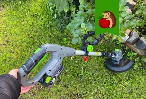 ���-������ ������ ������� 2025 ����, ������� ������� ��� ����� �� �������