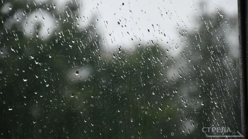 ������� ������������ � ������ � ����������� �� ���� �������� ����������, ��� �� ���������� ������� ��������� �������� ������ � ������������