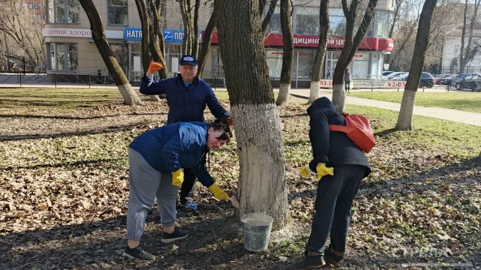 � ������� �������, 4 ������, �������� ���������