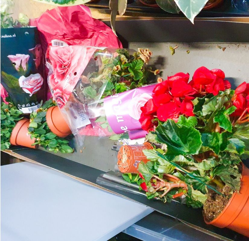 ��� ������ ����������� ��������: ������ �� ����� �� ���������� �� ���������