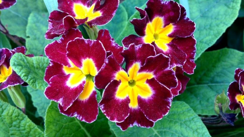 ����� �� ������������� ��� ����� �������: ������ ����� � ����������