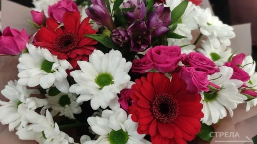 �� ���� ������ 98-������ ������ �������� �������� �������� ���������