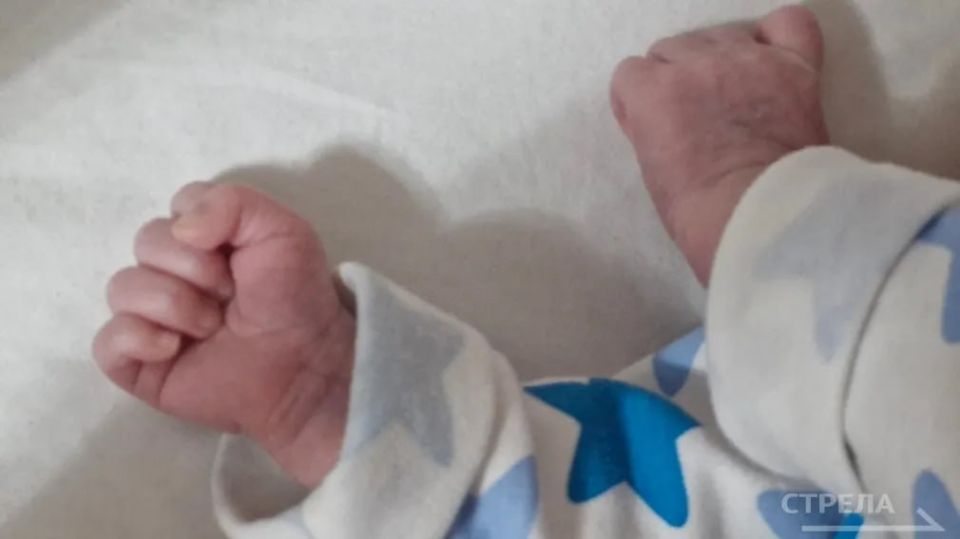 � �������� ������� �������� ����� 40 ������-������������