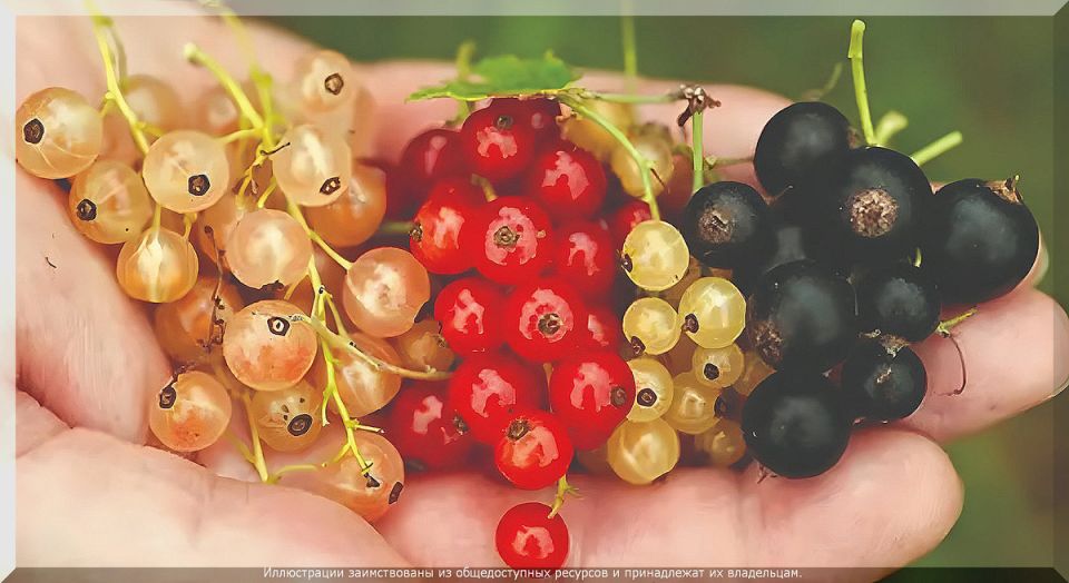 ��� �������� �������� ������ ���������: ������� �������� ��������� ������