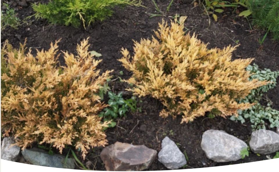 ������ ��������� ������-��������� ����� � 14 �� 20 �������