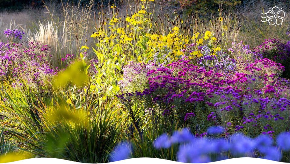 ��� �������� ����� ����� ����������� ������ �������: ������� ������ ����������