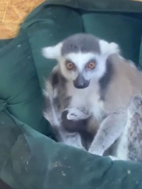 � �������� �������� � ������� ����� � ����� ������� �����