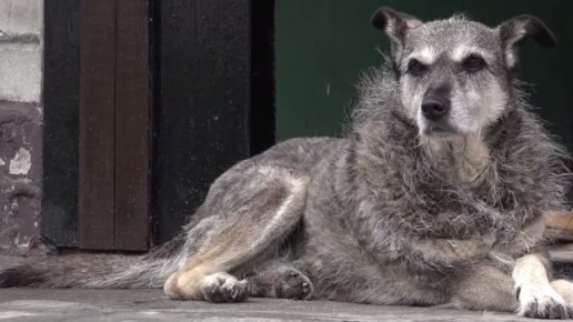 � ������� ��� ������ ��������� 80 ����� ������ �������, ������� ������� �������� ������