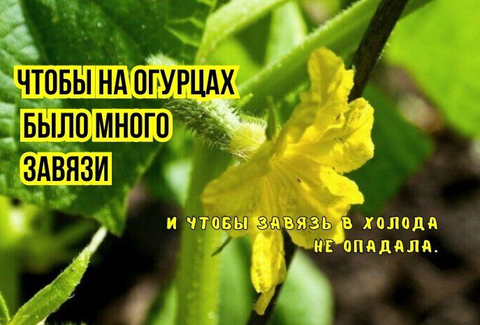 ��� �������� ��������� ������ �������: ������� ��������� ��� ��������� �����