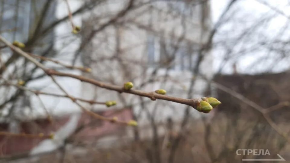 ������, 7 ������, �� ���������� �������� ������� ����� ������� � ������������