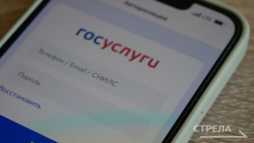 Приложение «Госуслуги Дом» стало удобным инструментом для управления недвижимостью и решения вопросов ЖКХ прямо со смартфона