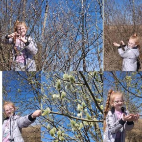 ������������� �������� � ����-����������� �1, � ������ � ������� �������� ��������� ��� ������ �������� ������ ��������!